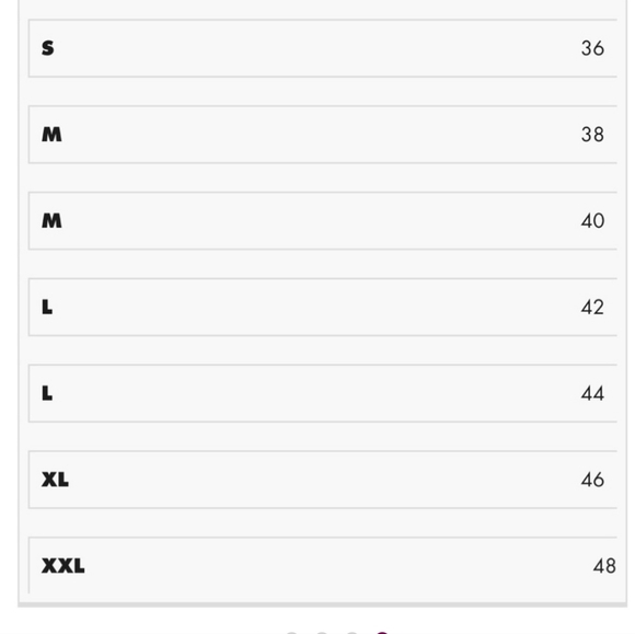 Escada Linen Beautiful Cream Ankle Pants with Embellished Crystals Trim - Picture 12 of 12